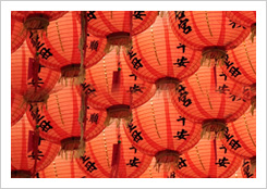 China Public Policy Program