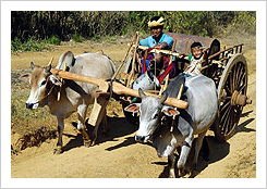 Myanmar Program