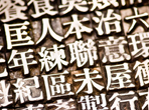 New World Fellows